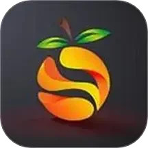 南果视频播放器软件安装