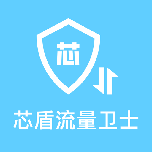 芯盾流量卫士软件