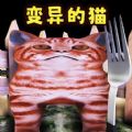 喂了个猫免费版