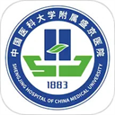 掌上盛京医院app