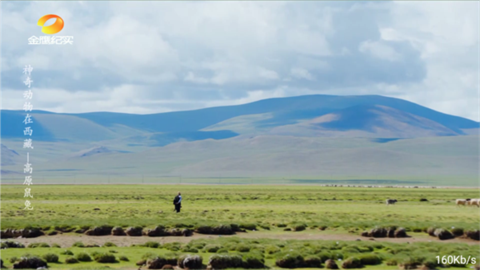 落日TV最新版高清大图
