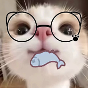 主题仓Pro免费版